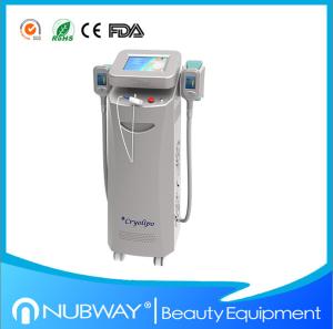 China Beauty Weight Loss Machine 2 handles Fat Freezing Cryolipolysis Slimming Machine for Spa wholesale