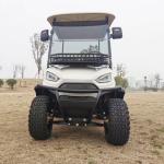 Support Customized Two-Seater Cargo Truck 4kw Aluminum Alloy Carbon Steel