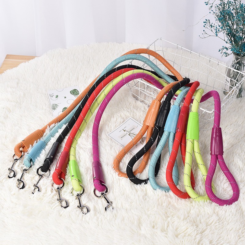 dogs on the leash