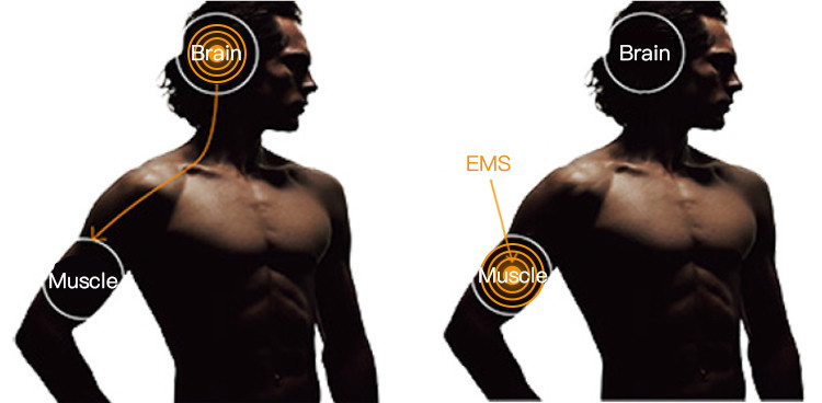 Dry Fit Workout EMS Body Suit Fat Burning Clothing S To XXL Size
