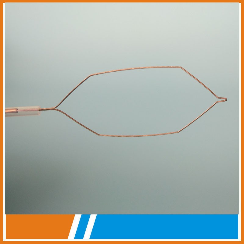 Class II 1600mm Endoscopic Polypectomy Snare Oval