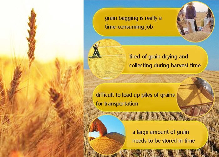 Mobile 40inch Container Grain Collecting And Bagging Machine Lightweight