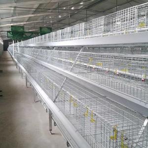 China Corrosion Resistant Poultry Layer Cage , Durable Ground Bird Feeder Cage wholesale