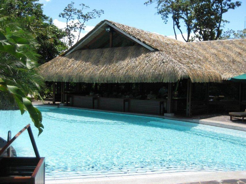 Fireproof Artificial Synthetic Simulation Thatch Roof Tiles for Garden Decorative