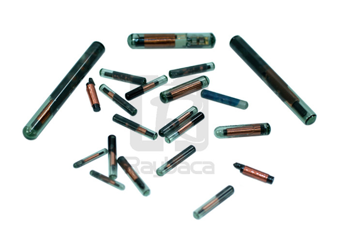 RFID LF Smallest Identification Rfid Injection Microchip For Animals
