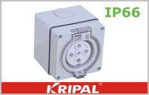 China 56SO 66SO series Waterproof Switch Socket Outdoor Industrial Receptacles wholesale