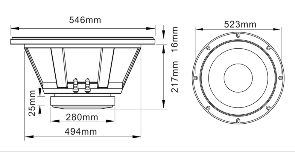 Paper Cone 21 Inch Subwoofer 125mm VC PA Sound Equipment