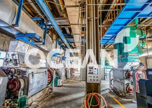 China Dehulling Edible Oil Pretreatment Plant Oil Pressing Machinery High Efficiency wholesale