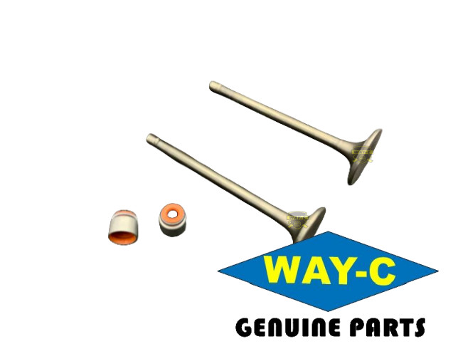 Motorcycle Engine Valve Kit M1010550 / M1010560 Intake Exhaust Val For TVS HLX125