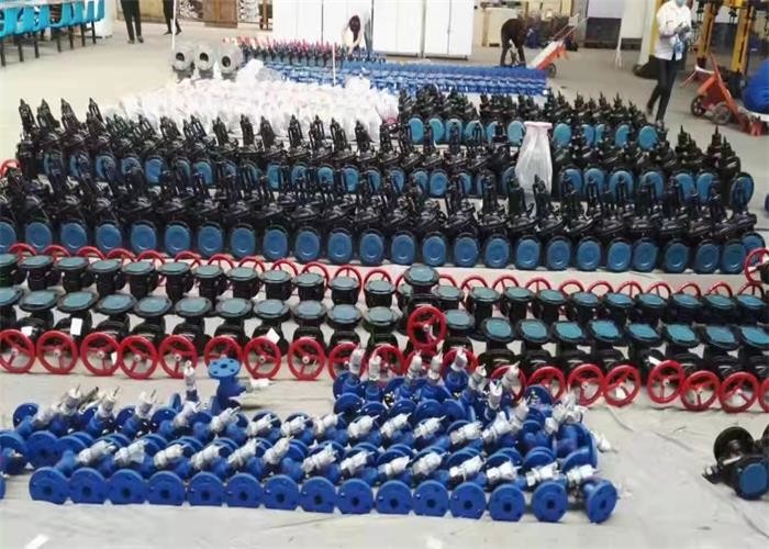JIS KS Cast Iron Flanged Globe Valve Black Medium Water Steam Electric