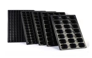 China PVC Plug Seed Starting Plastic Germination Trays Plant Propagation 0.7mm 2.3mm wholesale