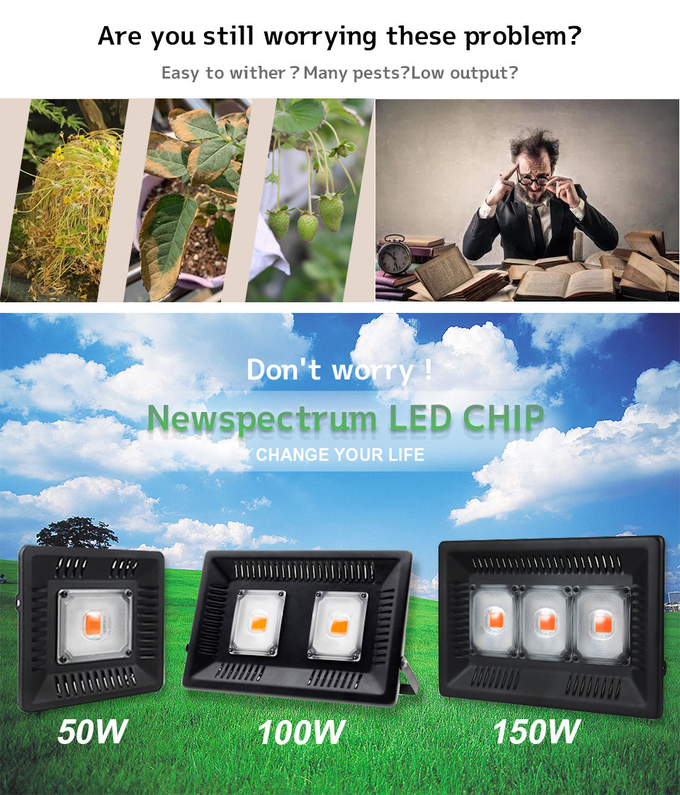 Full Spectrum Light Bar Module 150W IP65 Waterproof LED Grow Light