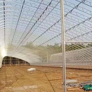 China Solar Energy Cooled Automatic Winter Greenhouse With Automatic Humidity Control wholesale