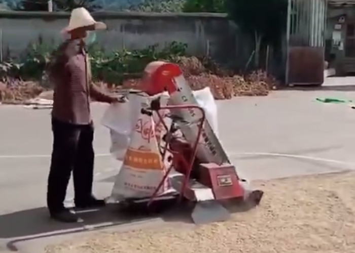 Bearing Strong CF200S Grain Collector Machine for granular foodstuffs