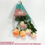 biodegradable Trapezoid Cellophane Vegetable Bags Customize Logo Lettuce
