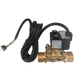 China Bernet Brand High Quality MSF20T Solenovid Valve For Fuel Dispenser wholesale