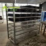 Greenhouse Garden Push Cart