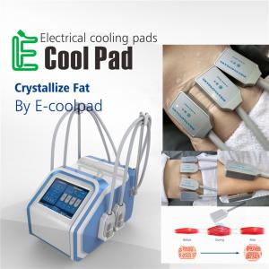 China Home EMS Cryolipolysis Fat Freezing Machine For Cellulite Reduction wholesale