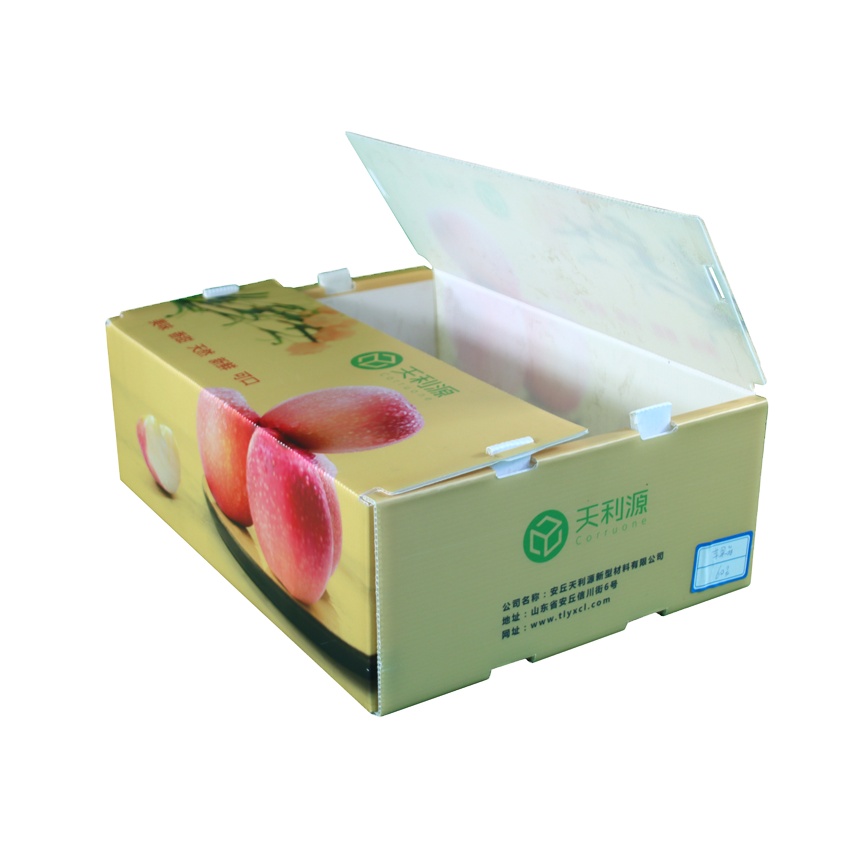Asparagus Okra Fruit And Vegetable Packaging Boxes Coreflute