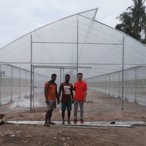China Tropical Top Cross Vent Agricultural Sawtooth Greenhouse Plastic Film Covered wholesale
