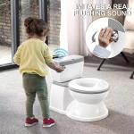 Grey Baby Potty Toilet with Removable Seat