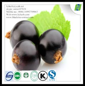 China Food Grade Organic Black Currant Powder wholesale