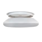 Microwave Motion Activated Outdoor CCT Change 18W 25W 12w Led Ceiling Light