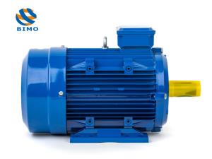 China YE2 YE3 IE2 IE3 IE4 Squirrel Cage Three Phase Motor 0.75KW 3KW 15KW 1HP 3HP 20HP wholesale