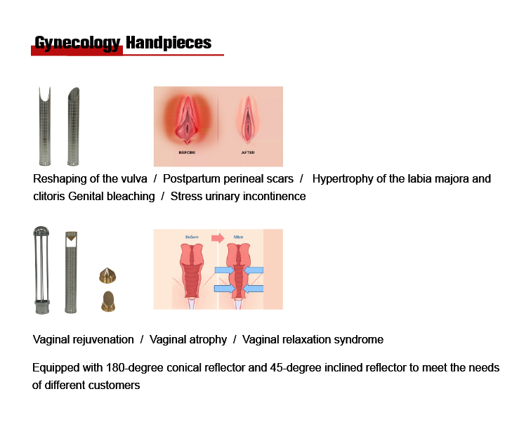 Skin Rejuvenation CO2 Fractional Laser Machine Beauty Pigment Treatment