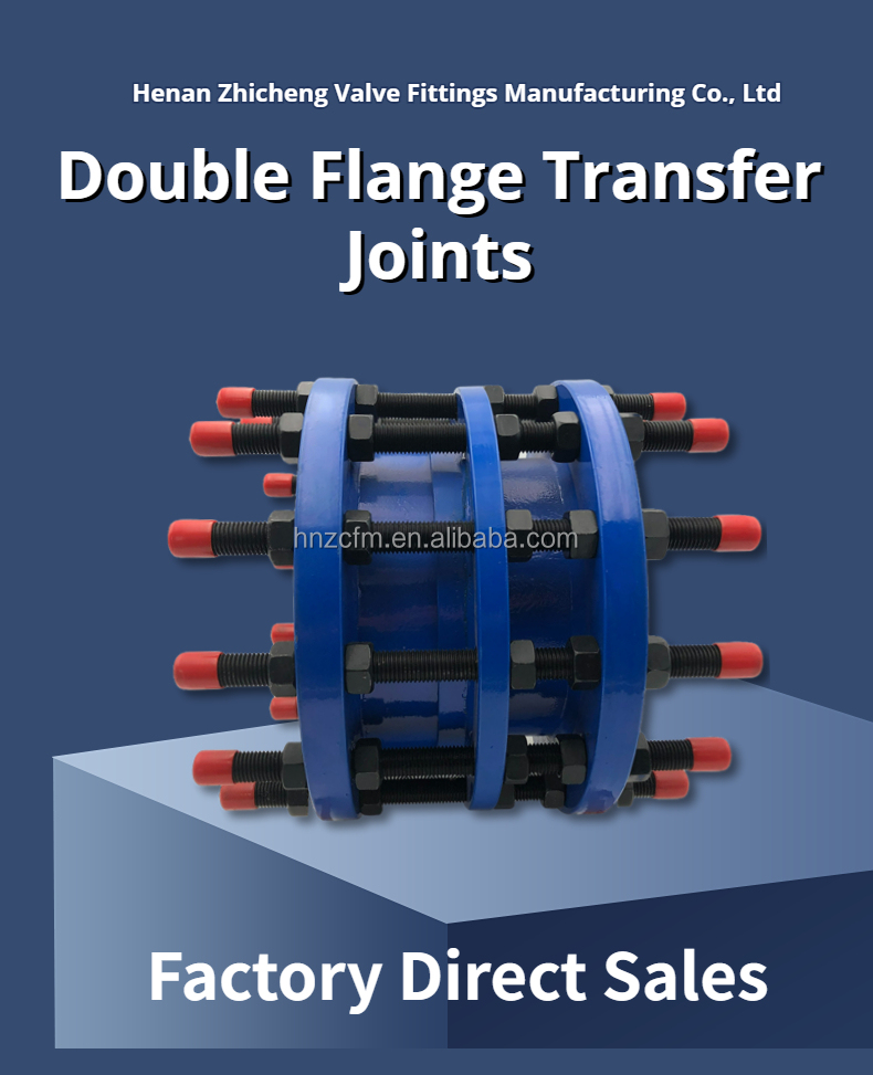 Pipeline Fitting Pipe Dismantling Joint Carbon Steel Double Flange Disassembly Joint Coated