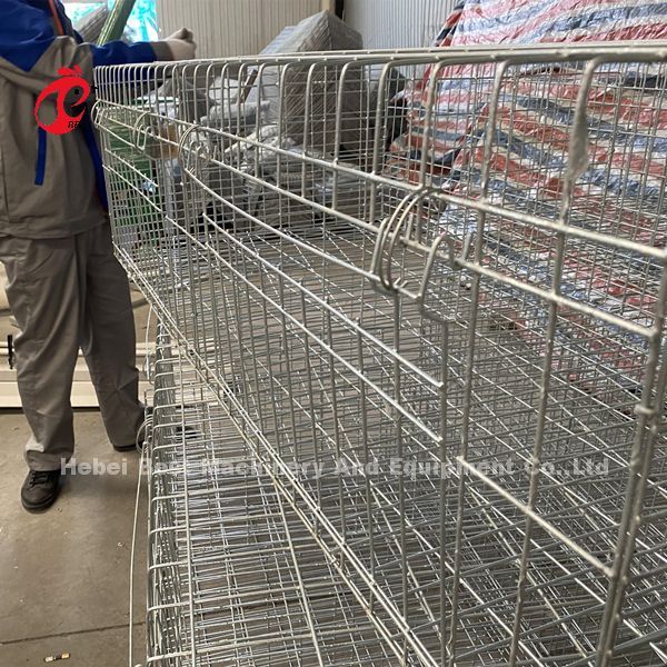 A Type Broiler Battery Cage Galvanized High Strength Poultry Broiler Cage Iris