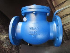 China din SWING CHECK VALVE wholesale