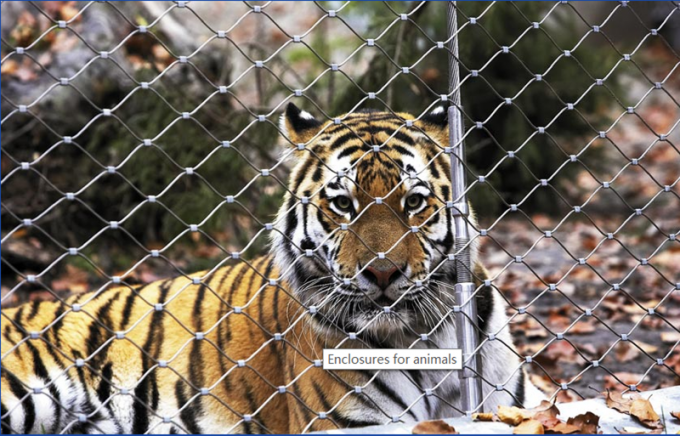 7x7 Tiger Metal Stainless Steel Zoo Mesh Enclosure Netting X Tend Shaped 0
