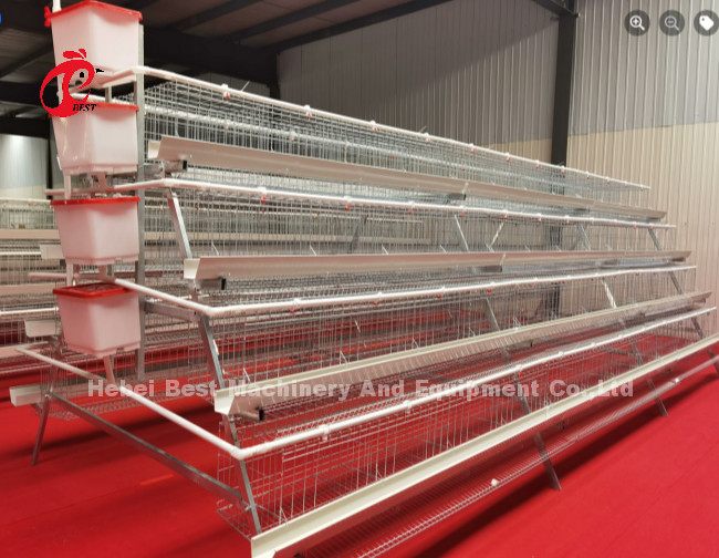 3 Tier 120 Birds And 4 Tier 160 Birds Layer Battery Cage System For Uganda Tanzania Poultry Farm Sandy
