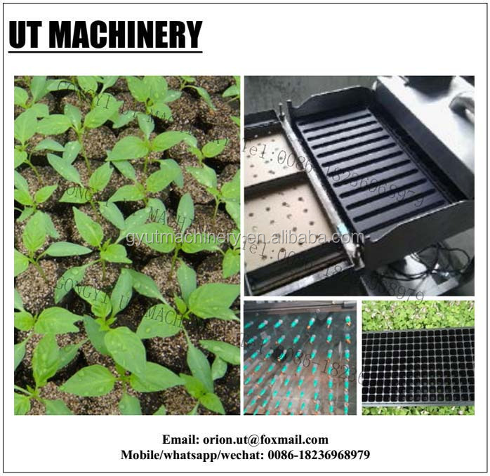 Stainless Steel Tray Tomato Seeding Machine Vacuum Seeder with Precision Planter