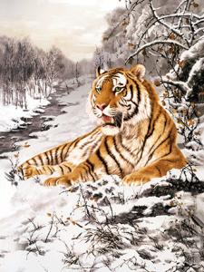 China Home Decoration 3D Lenticular Pictures / Animal Print Lenticular wholesale