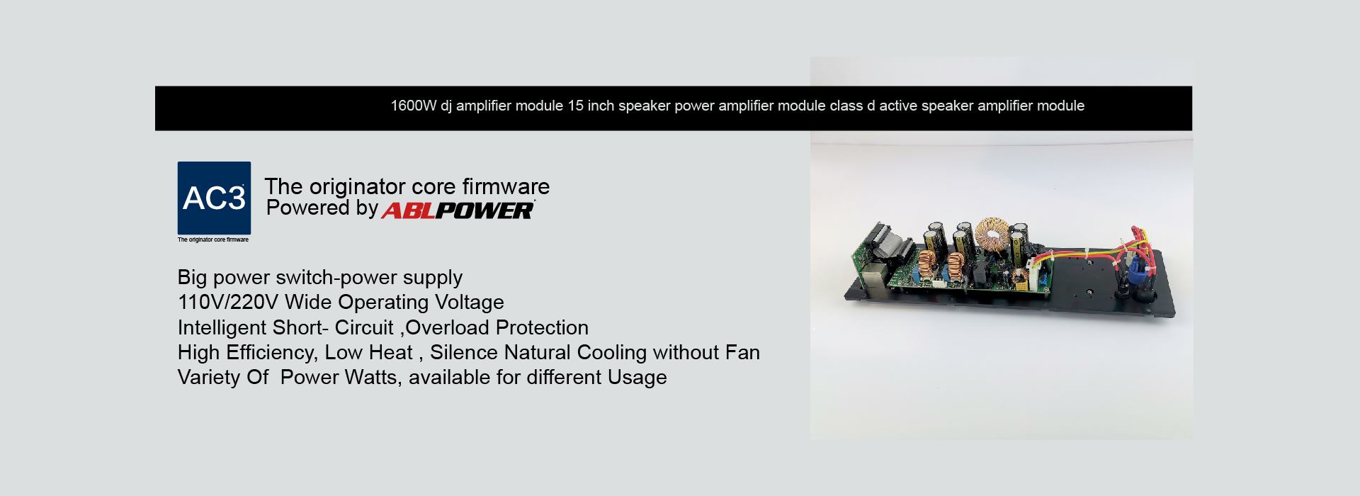 1300W Subwoofer Amplifier Module