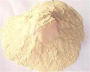 China Natural Wheat Smell Wheat Gluten Protein Powder for Feed in 25kg bag wholesale