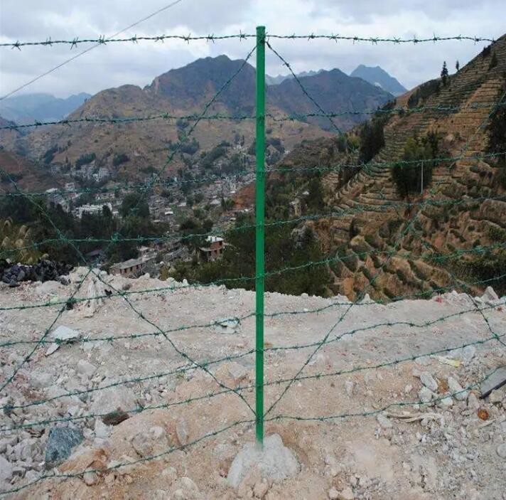 galvanized barbed wire galvanized barbed wire price 250m per roll dutch net metal guardrail enclosure barbed wire tbar stretch tool for barb wire Ce