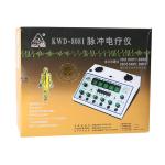 Great Wall KWD808 Electronic Acupuncture Treatment Instrument 6 Channels Output