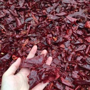 China Xinglong Dried Chilli Seeds 15000SHU Spicy Delicious Nutritious wholesale