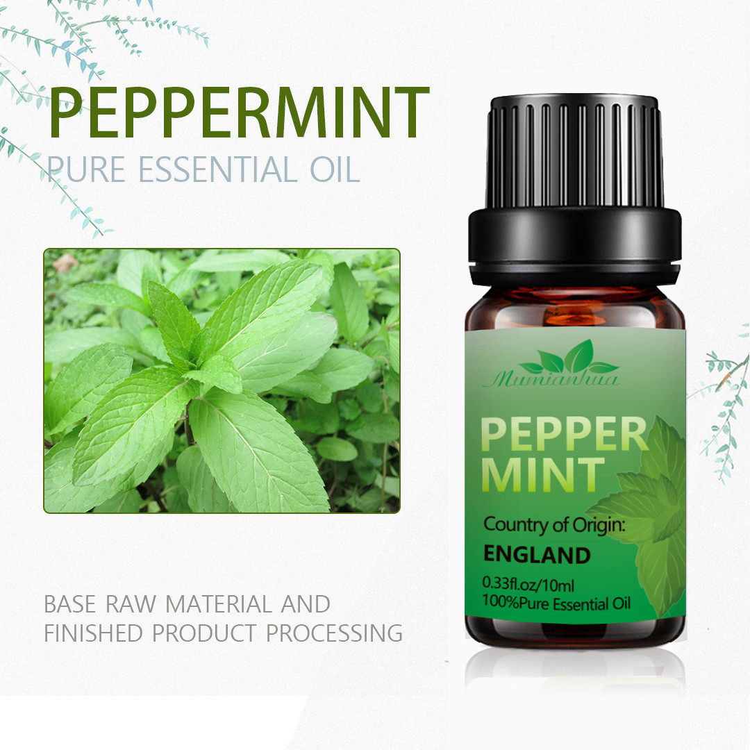 100ml 100% Pure Natural Peppermint Oil Massage Oil Aromatherapy USDA COA