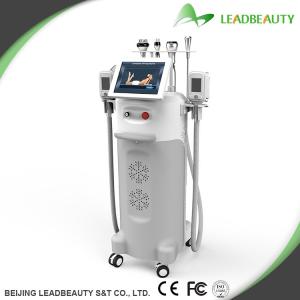 China Improved 5 Big heads cryolipolysis slimming machine wholesale