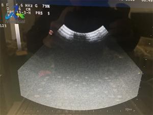 China CA123 Ultrasound Probe Repair Maintenance Replace Crystal wholesale