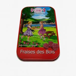 China OEM ODM Candy Metal Tin Can Box Hinged Tin Container wholesale