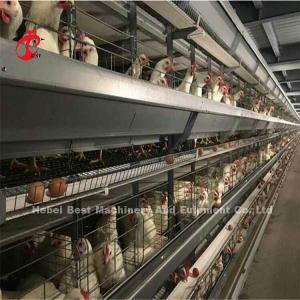 China 3 4 Tiers Automatic Layer Chicken Battery Cages For Laying Hens Mia wholesale