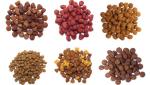 Fully Automatic Pet Food Making Machine / Machinery High Accurate