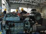250kW LPG Natural Gas Biogas Electricity Generator 1500RPM
