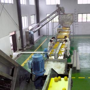 China Professional NFC Orange Juice Production Line Capacity Customized wholesale