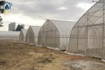 Agricultural Tunnel Greenhouse Single Span PE Film Greenhouse For Flowers Plant